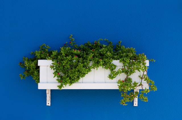 Wall Planter home office accessories